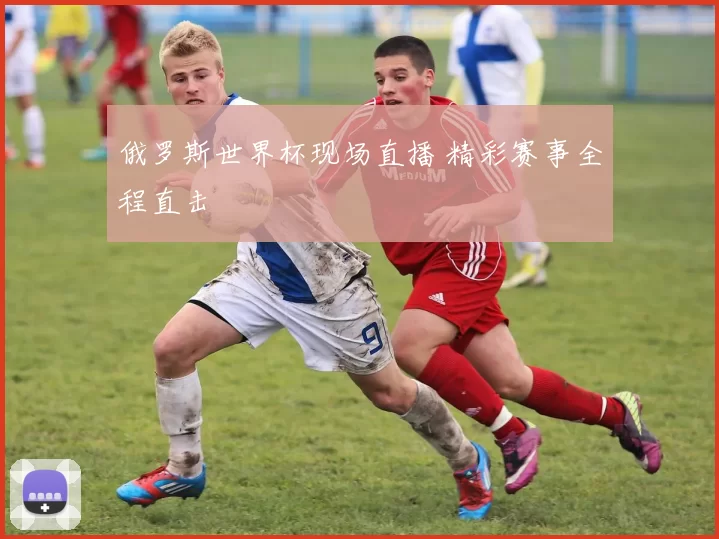 俄罗斯世界杯现场直播 精彩赛事全程直击
