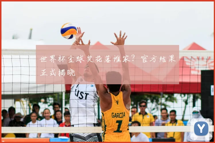 世界杯金球奖花落谁家?官方结果正式揭晓