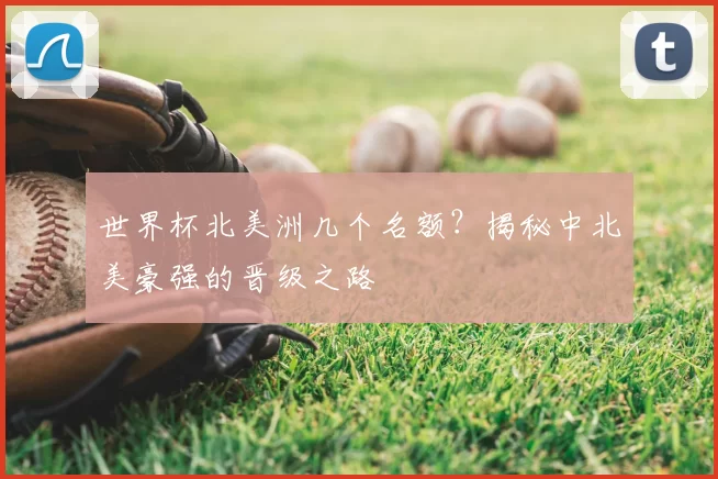 世界杯北美洲几个名额?揭秘中北美豪强的晋级之路